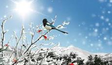 Sabaha olan hava proqnozu