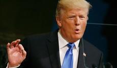 Tramp yeddi ştatda qələbə qazandı