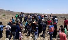 Şura Türkiyənin artan miqrant yükünü etiraf edir