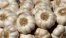 Azərbaycan sarımsaq idxalını 3,3 dəfə artırıb