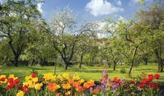 Martın 7-də bəzi bölgələrdə 20 dərəcə isti olacaq