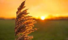 Bu gün Yel çərşənbəsidir