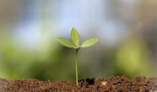 Bu gün İlaxır çərşənbədir