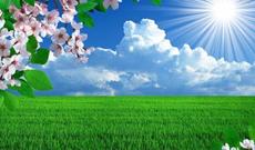 Sabah ölkə ərazisində hava əsasən yağmursuz olacaq