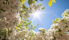 Sabahın hava proqnozu