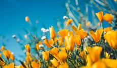 Aprelin 16-na gözlənilən hava proqnozu