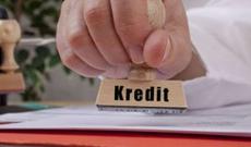 İstehlak kreditlərinə 3 ay güzəşt edilsin, faiz hesablanmasın