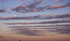 Şənbə gününün havası açıqlandı