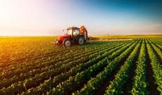 Kənd təsərrüfatında çalışanların sosial yükü 3 dəfə azaldılacaq