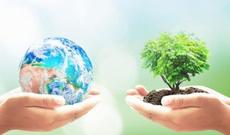 22 aprel - Beynəlxalq Yer Günüdür