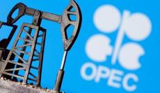 OPEC: Neftin qiyməti ilin ortalarında 40 dollara çata bilər