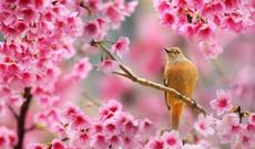 Mayın ilk günü hava necə olacaq?