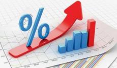 Gürcüstanda idxal məhsulları bahalaşıb